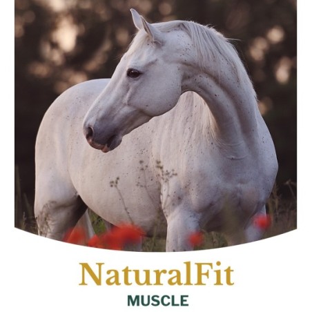 Metazoa NaturalFit Muscle