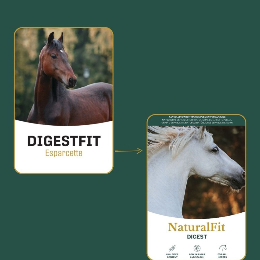 Metazoa Digesfit