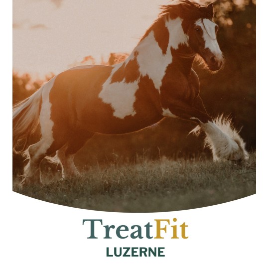 Metazoa TreatFit Luzerne