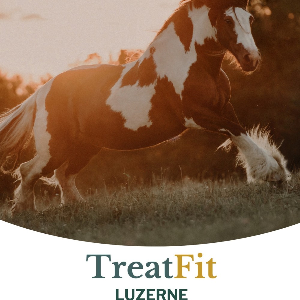 Metazoa TreatFit Luzerne