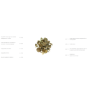 Agrobs Myo Protein Flakes