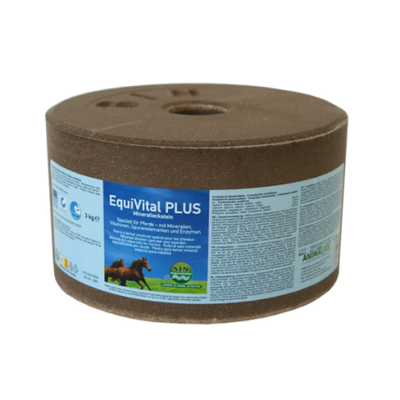 Liksteen Equivital