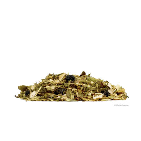 HerbaVisceral PerNaturam