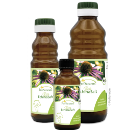 Echinasap | PerNaturam