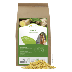 Gember (1kg)| PerNaturam - paardendroom.be