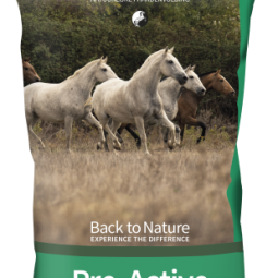 Equifyt Pre-Active
