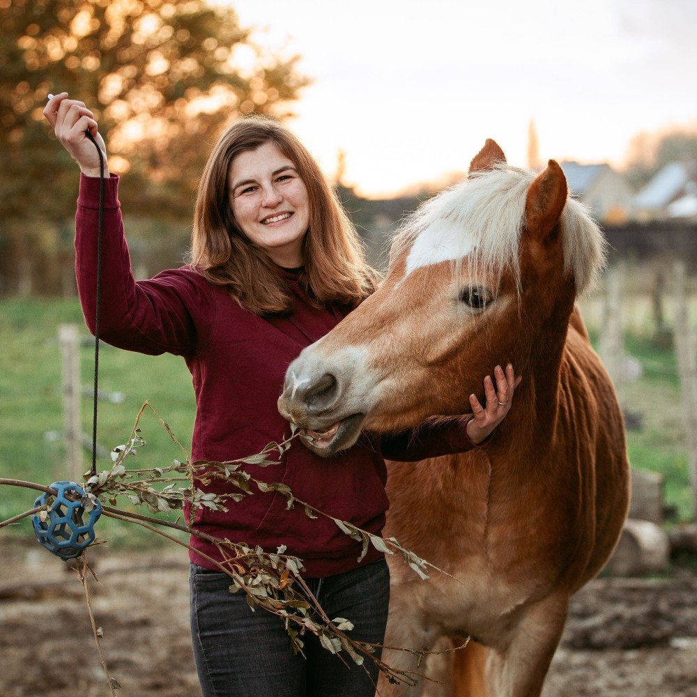 Flexivoerbal - verrijking voor pony's en paarden