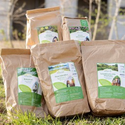 Seizoensgebonden voeding voor paarden - Lente