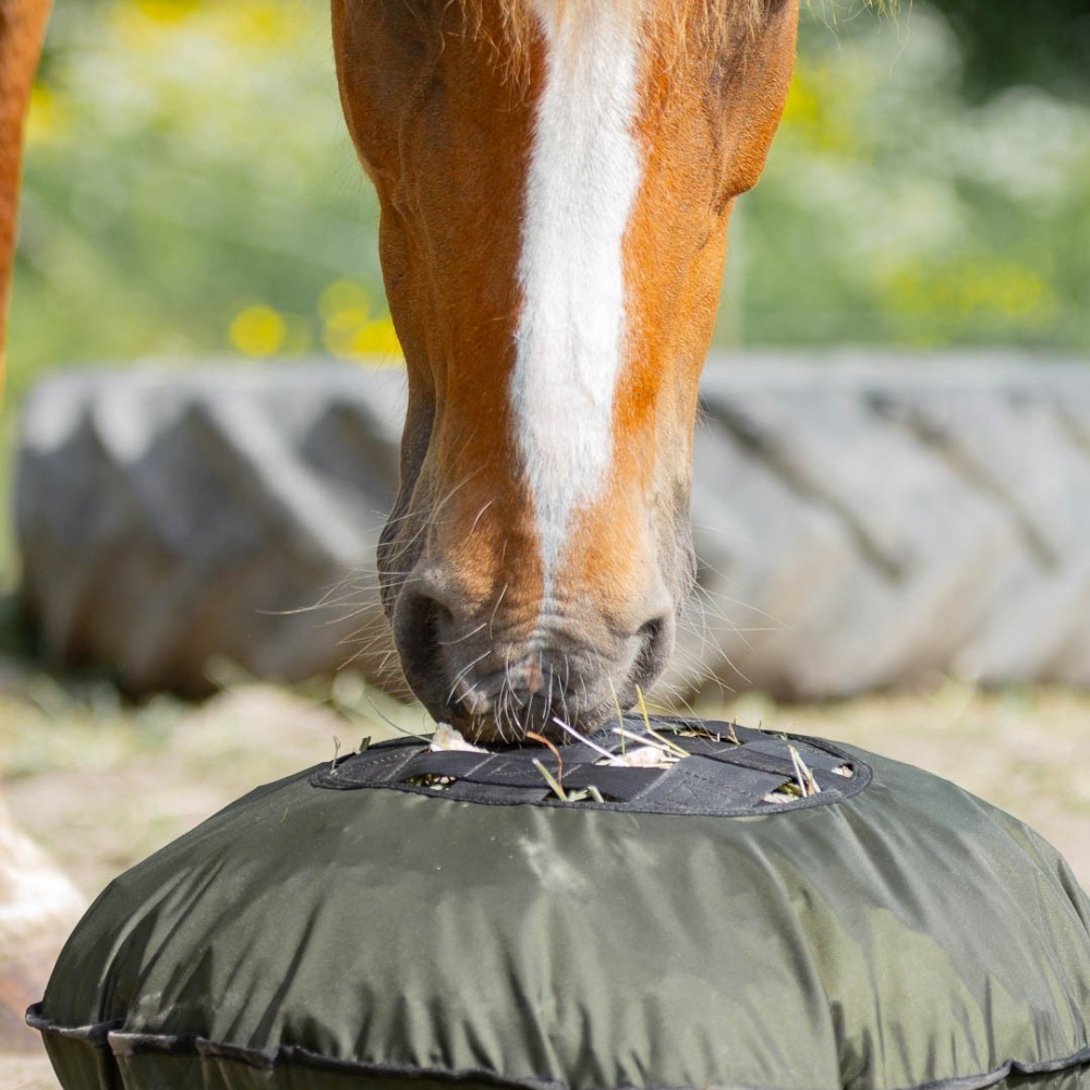 Fluffy Feeder Heica