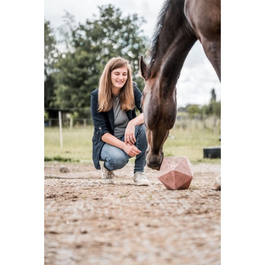 Maximus Feed & Play Rood – Voerverrijking en speelplezier in één - paardendroom.be