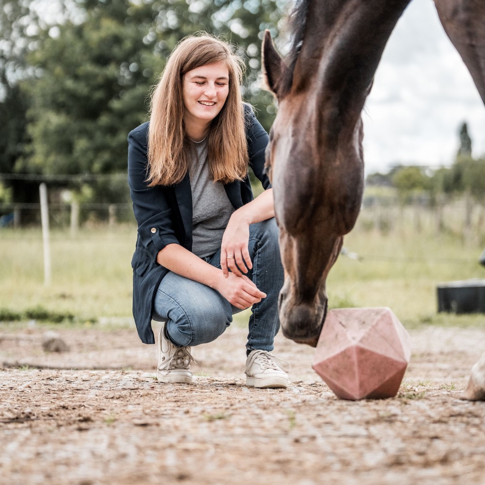 Maximus Feed & Play Rood – Voerverrijking en speelplezier in één - paardendroom.be