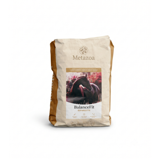 Metazoa BalanceFit Esparcette (FitRight) - Graanvrije Balancer 15 kg - paardendroom.be