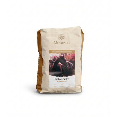 Metazoa BalanceFit Esparcette (FitRight) - Graanvrije Balancer 15 kg - paardendroom.be