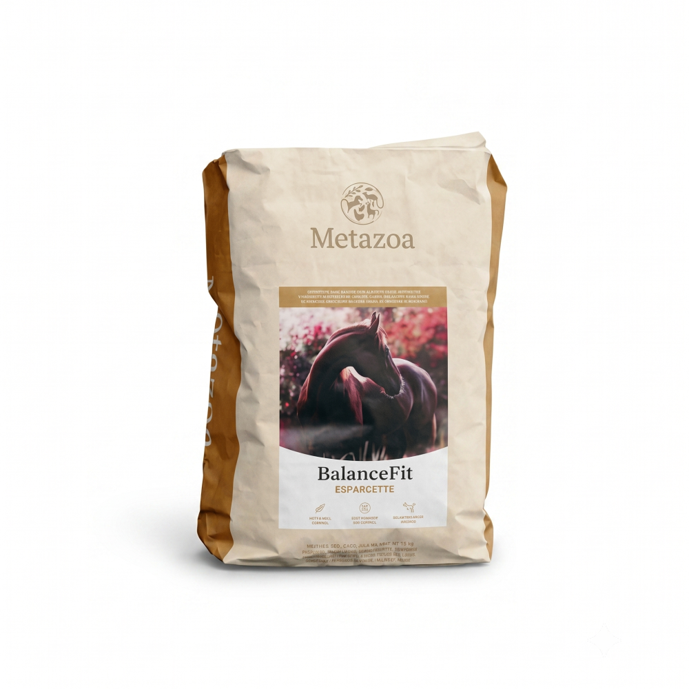 Metazoa BalanceFit Esparcette (FitRight) - Graanvrije Balancer 15 kg - paardendroom.be