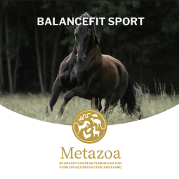 BalanceFit Sport Big Box - Metazoa