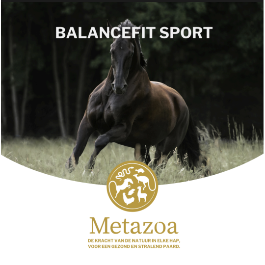 BalanceFit Sport Big Box - Metazoa