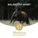 BalanceFit Sport Big Box - Metazoa