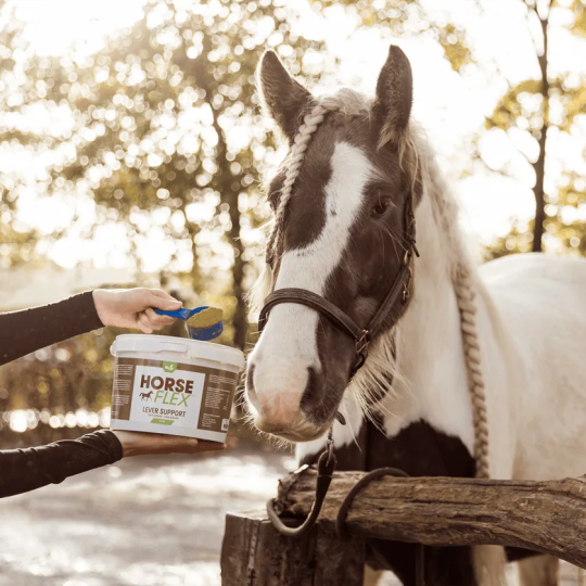 Lever Support Detox - HorseFlex