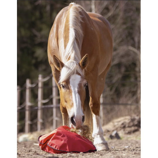 Fluffy Feeder - standaard mazen - paardendroom.be