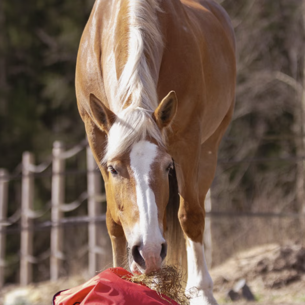 Fluffy Feeder - standaard mazen - paardendroom.be