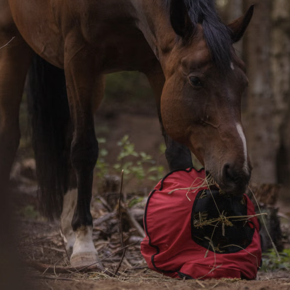 Fluffy Feeder - standaard mazen - paardendroom.be