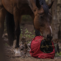 Fluffy Feeder - standaard mazen - paardendroom.be