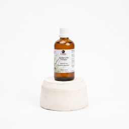 Scutellaria Tinctuur Paard & Pony - De Groene Os