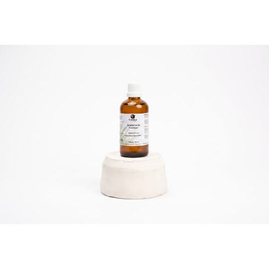 Scutellaria Tinctuur Paard & Pony - De Groene Os