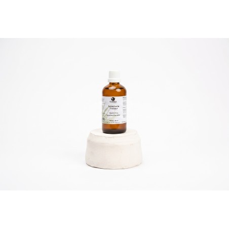 Scutellaria Tinctuur Paard & Pony - De Groene Os