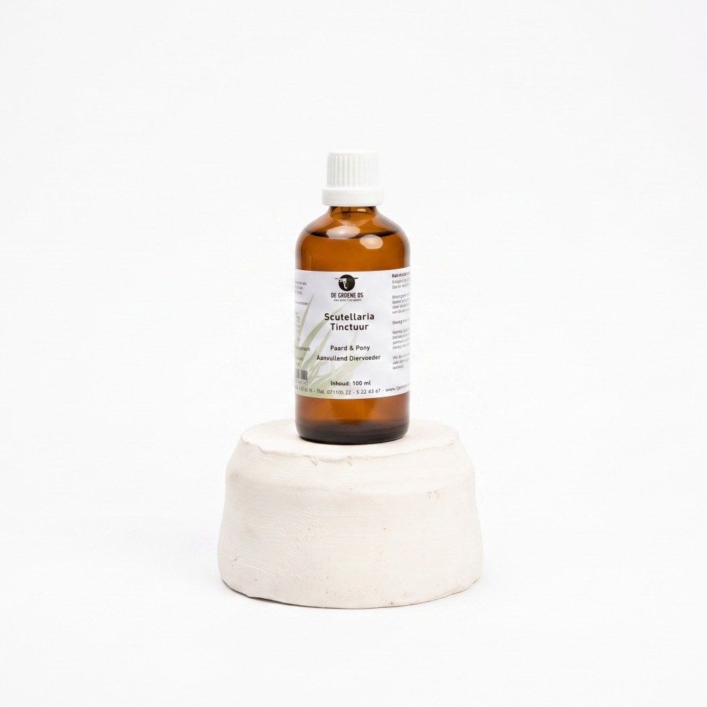 Scutellaria Tinctuur Paard & Pony - De Groene Os