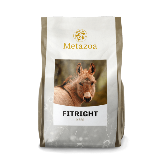 Metazoa Fitright Ezel