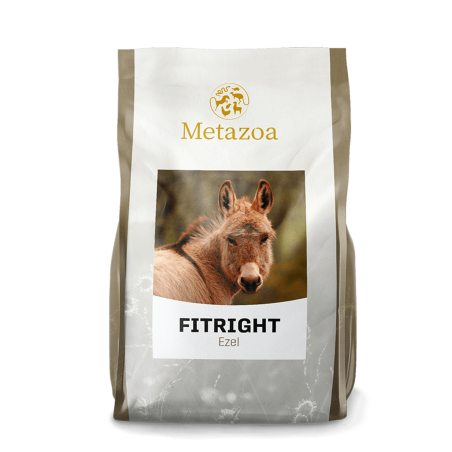 Metazoa Fitright Ezel