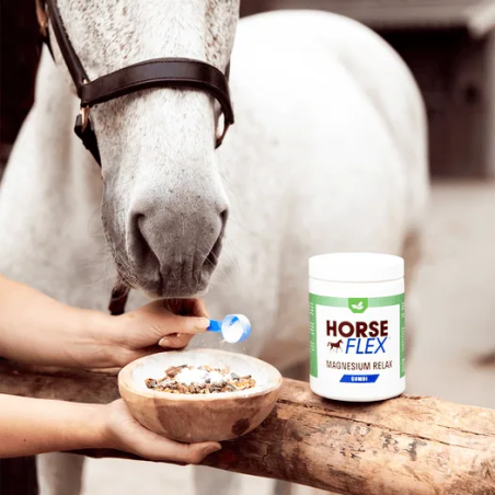 Magnesium Relax Combi - HorseFlex