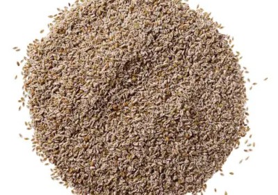 Tips om (zand)koliek te voorkomen