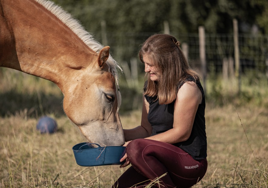 Gezonde voeding voor paarden