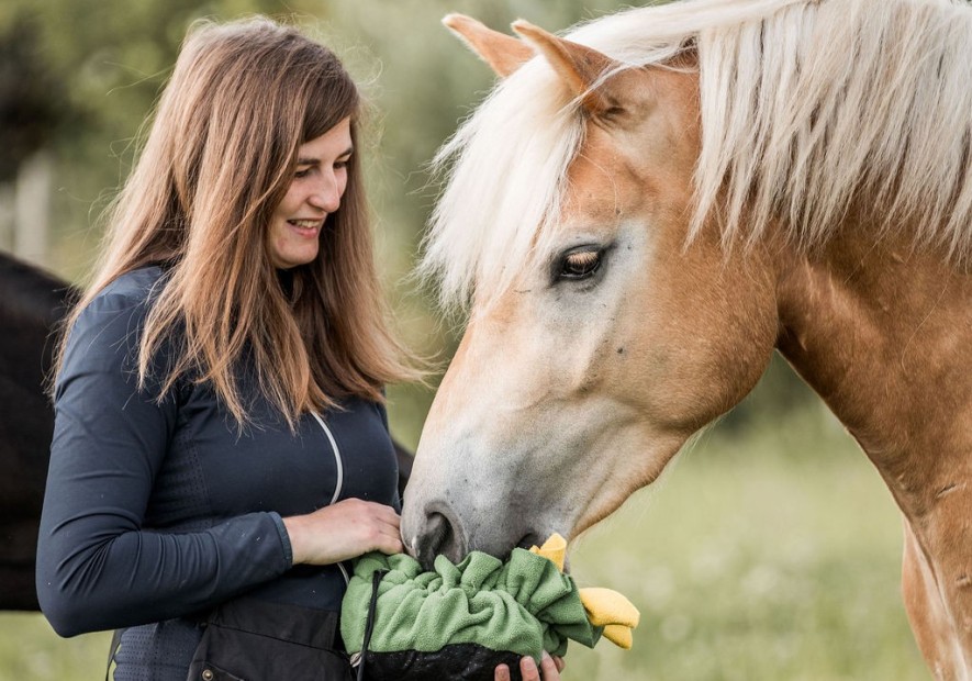 Drie redenen waarom je een snuffelmat nodig hebt