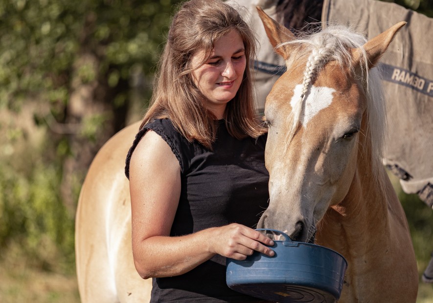 Ontdek OKAPI bij Paardendroom: Natuurlijke supplementen voor een gezond en gelukkig paard