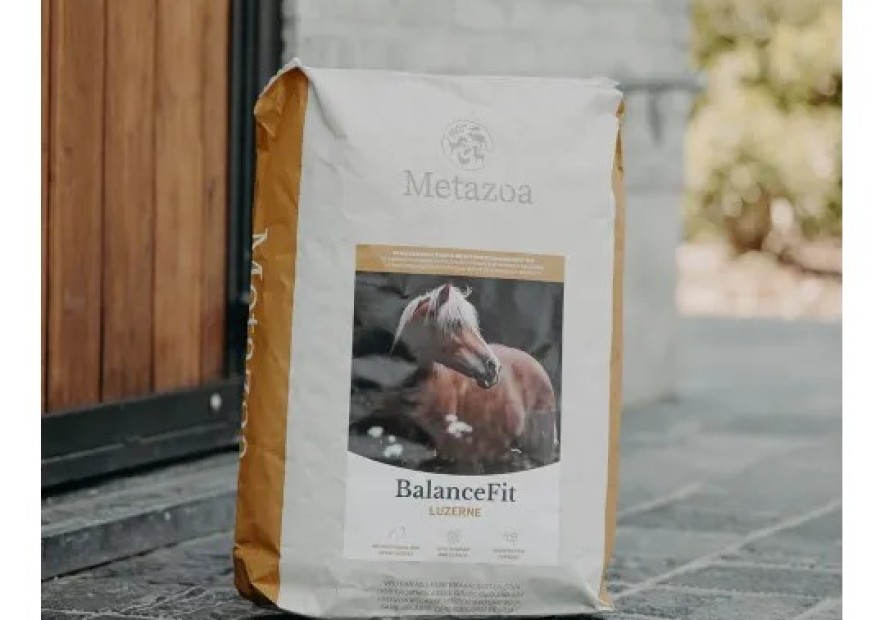 Metazoa: de kracht van eenvoudig voeren