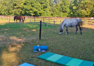 De meerwaarde van Pilates voor ruiters image