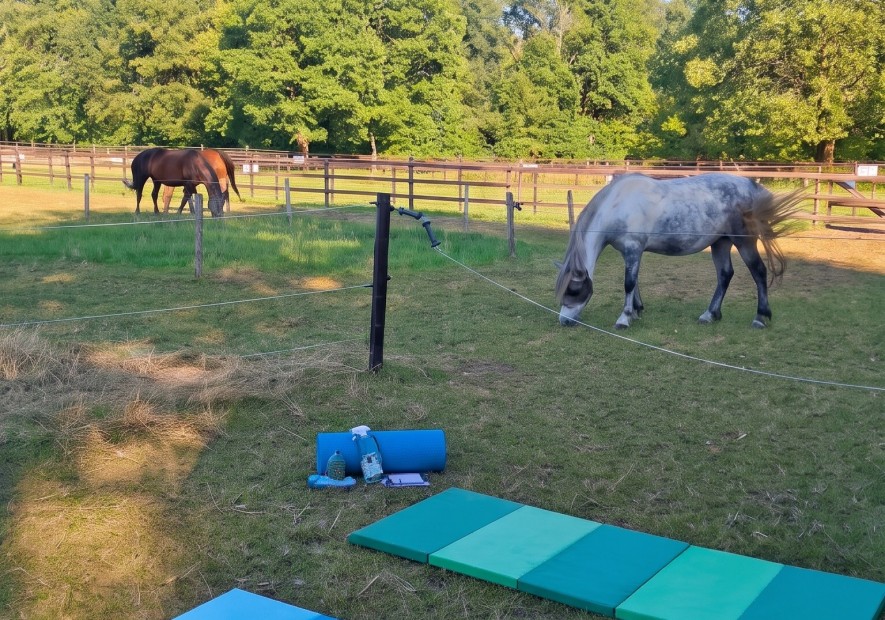 De meerwaarde van Pilates voor ruiters